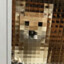 perro pixelado