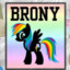 Brony