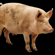 нагибатор2001