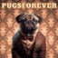 PUGSFOREVER