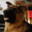 Maxx avatar