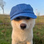 Shket's avatar