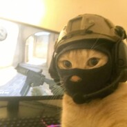 耄耋战队自由人森破