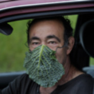 Takaeu