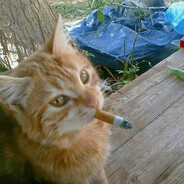 𝓶𝓪𝓻𝓲𝓸 .-.