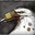 White_Raven