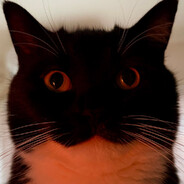 А ВОТ И МЫ 🔻🔻🔻