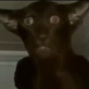 smn