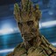 GROOT