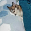 elfreddy077