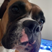 chupe