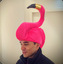 Mad Flamingo