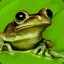 Froggy