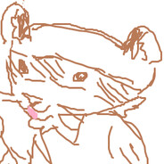 One Thousand Ferrets