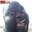 LiveLeak Enthusiast