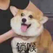 ChooKiu 的 🇨🇳 朋友