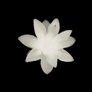 待年（已曼波）