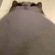 她说肚子是可以吃圆的