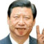 xijinping killer