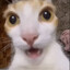 ReSsu