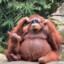 Kajiro's avatar