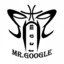 Mr.Google