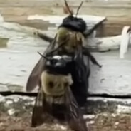 M M M M M M M M M M M M M M M M