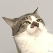 再给我次机会呢