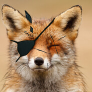 Vulpes