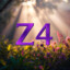 Z4schN