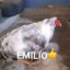 El_emyl_XD