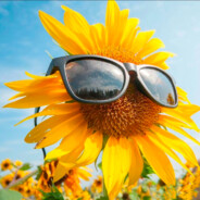 超级向日葵大王