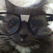 kosmo