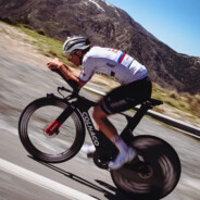 温风始至 腐草为萤