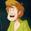 Shaggy