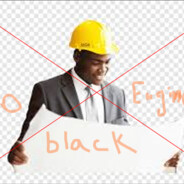 the racism engineer