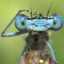 Dr. Bugs