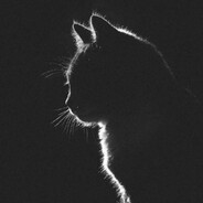 kisw0w Steam avatar