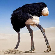 Ostrich Algorithm