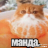 ваня чарон