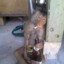 bodya_killer2004