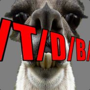 DejligeLama  DK
