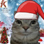 ChristmasGGFalc0n's avatar