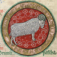 An_Ordinary_Goat