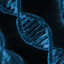 DNA