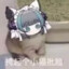 柴郡柴郡柴？