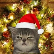 Quzmi_ | 2026mentality