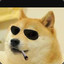 Doge Lore