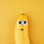 TheSillyBanana