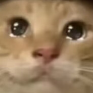 战帅在上，征讨伪帝